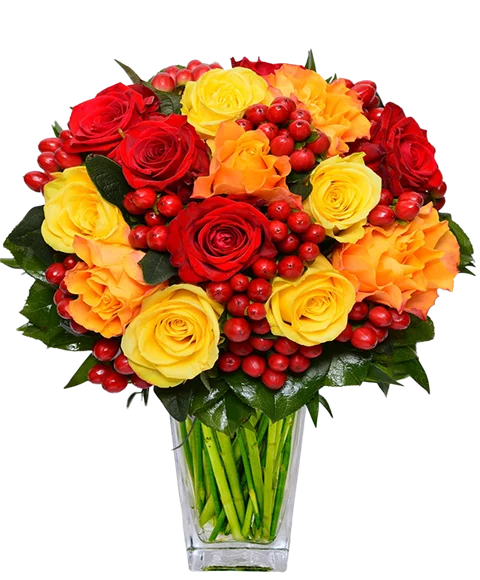 Mazzo di rose